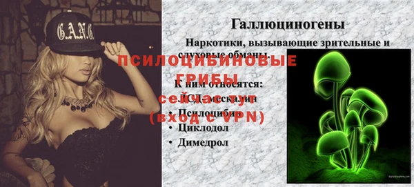 тгк Балахна