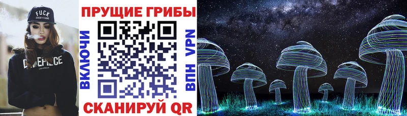 Псилоцибиновые грибы Psilocybine cubensis  Щигры 